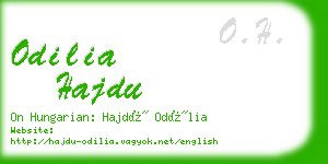 odilia hajdu business card